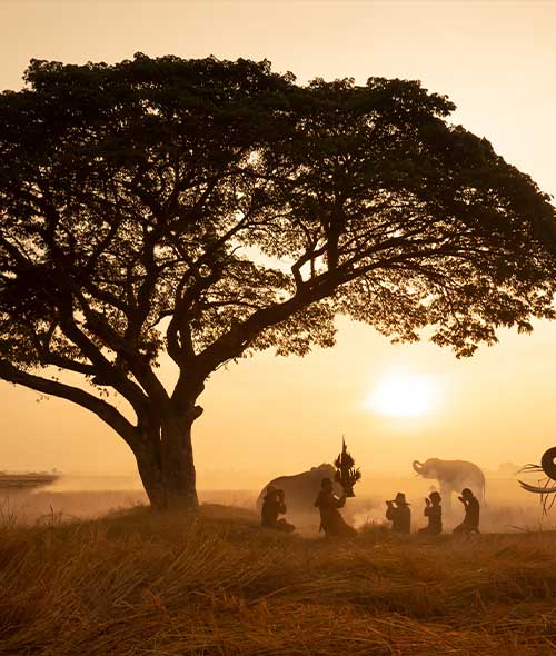 africa